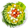 salad cuisine